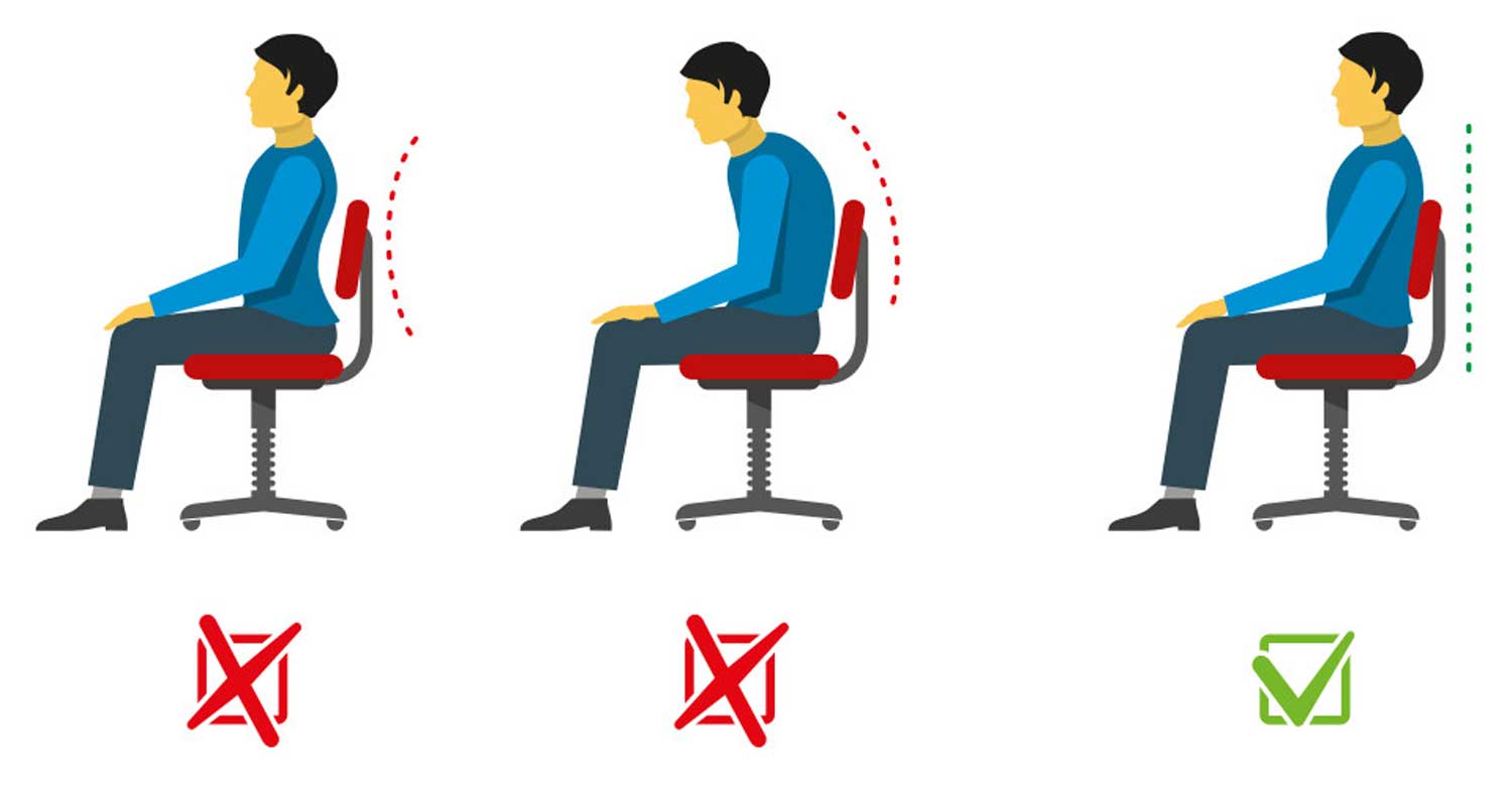 Chiro Back Supporting and Ergonomoic Chairs – THATSMYOFFICE