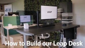 Sit Stand Desk Assembly Leap